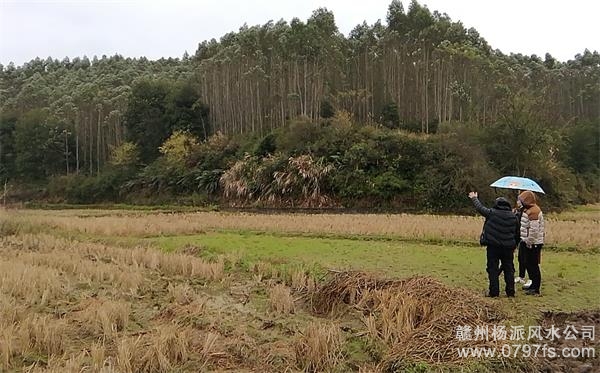 楚雄彝族自治州陈老师带着爱徒寻龙点穴